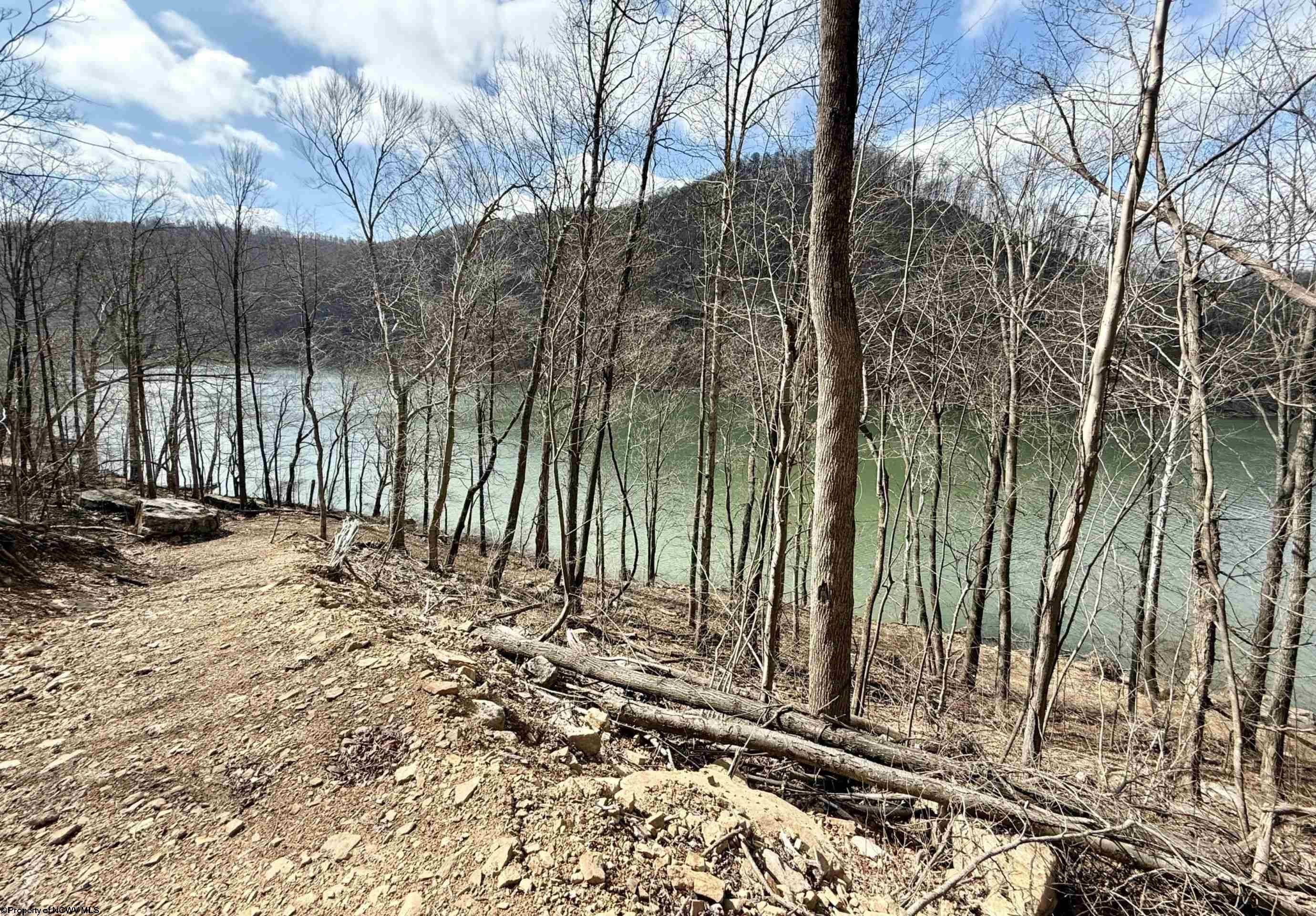 Lot 10 Brooklyn Road Parsons, WV 26287 - Photo 9 of 17 Gallery Image 9