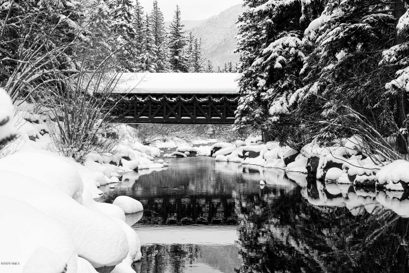 2065 Vermont Road Vail, CO 81657 - Photo 51 of 53 iStock-628801604 (Large)