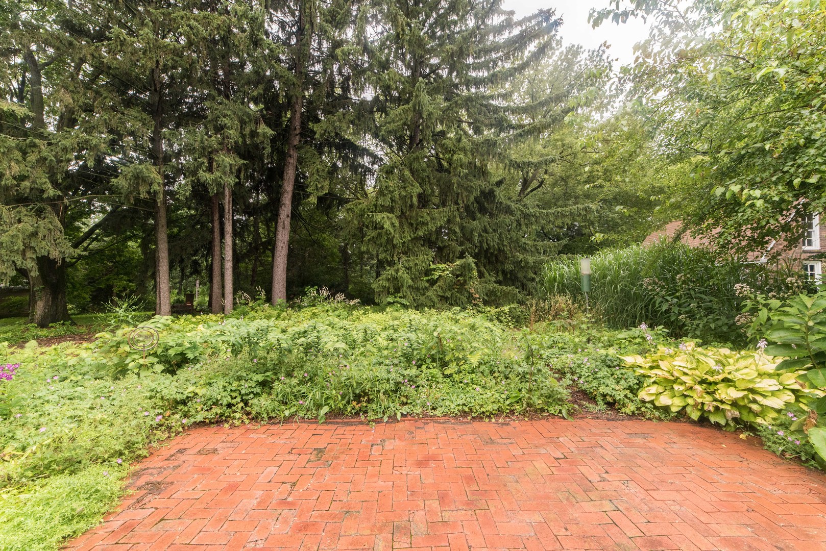 591 Normal Road DeKalb, IL 60115 - Photo 20 of 24 a view of backyard with large trees