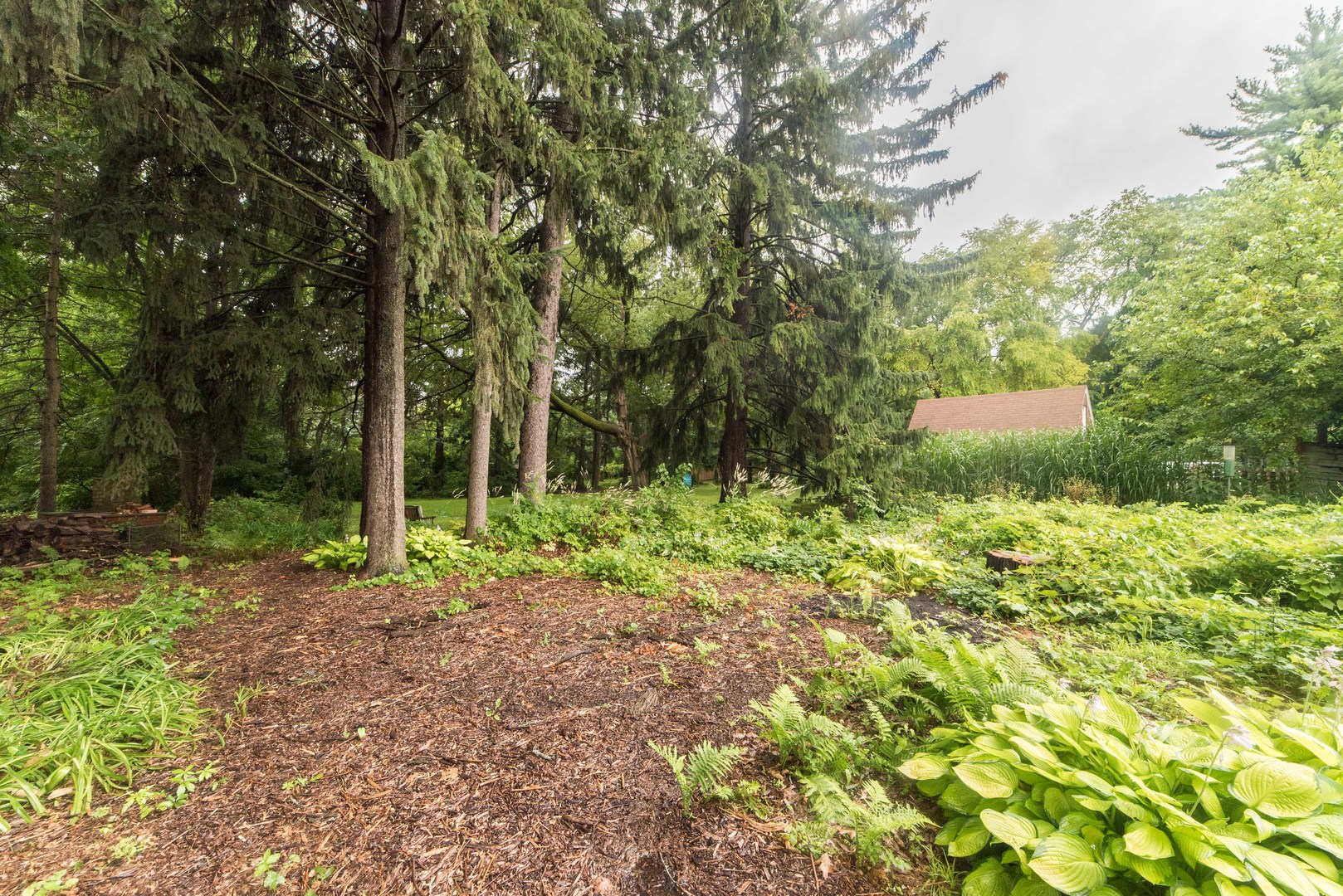 591 Normal Road DeKalb, IL 60115 - Photo 21 of 24 a view of a backyard