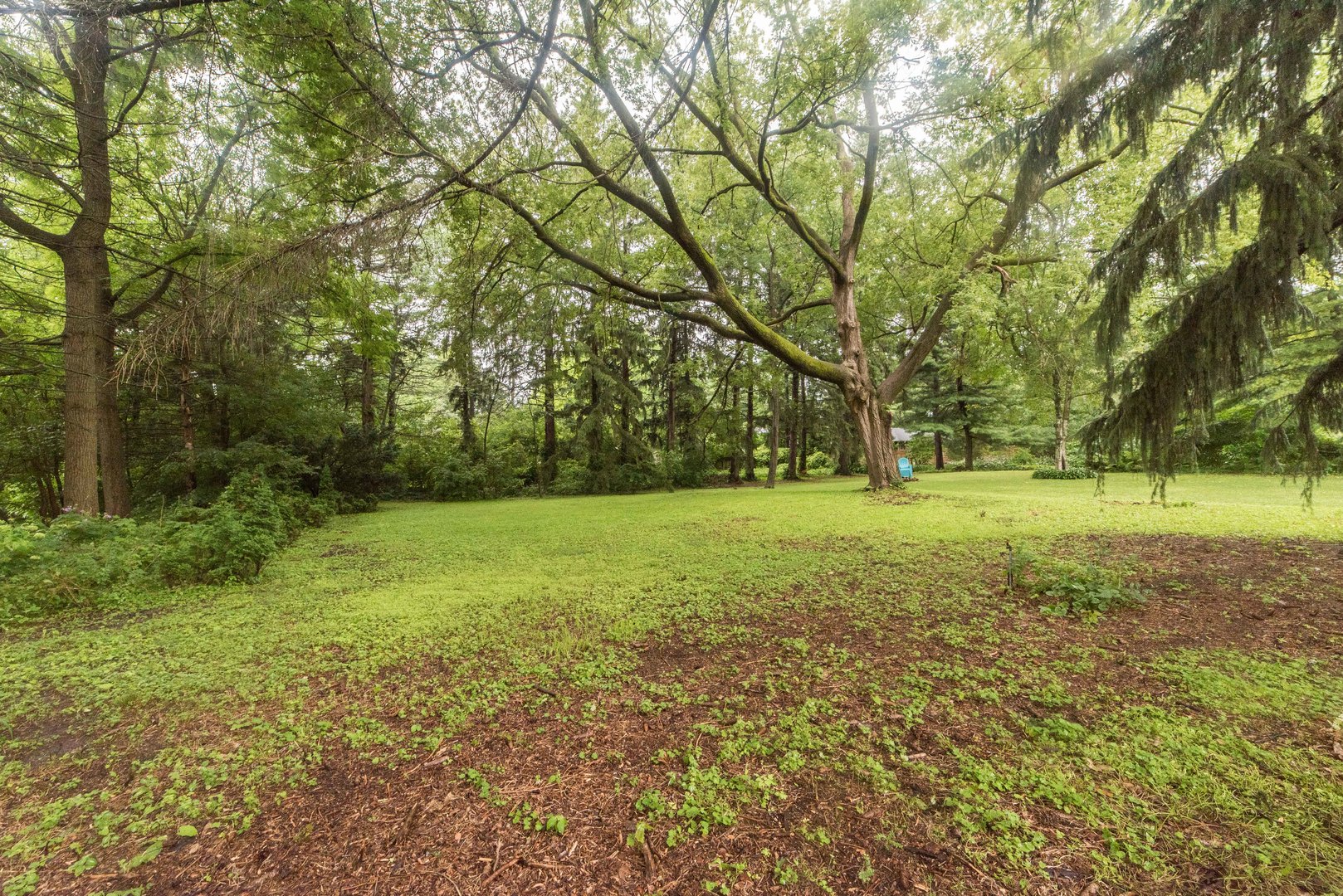591 Normal Road DeKalb, IL 60115 - Photo 23 of 24 a view of outdoor space with deck and trees