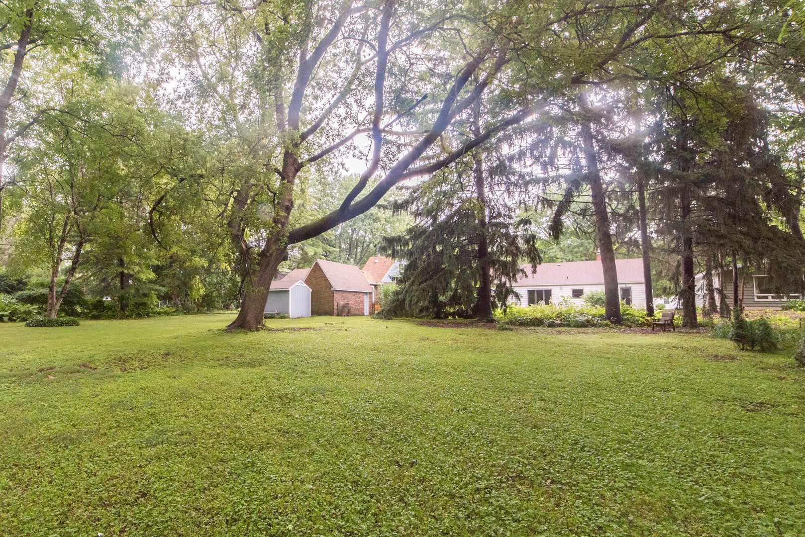 591 Normal Road DeKalb, IL 60115 - Photo 24 of 24 a tall trees with a trees in the background