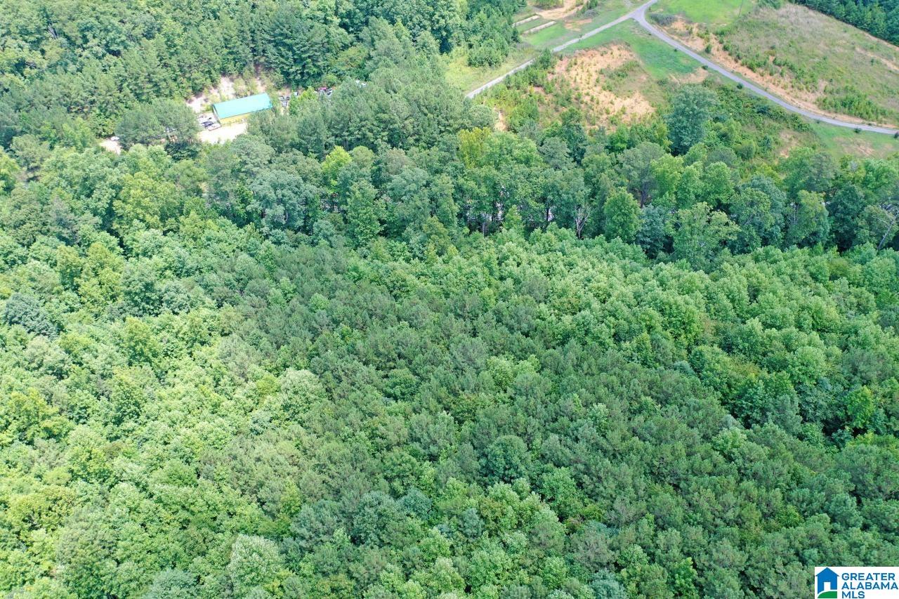 0 US Highway 278 Altoona, AL 35952 - Photo 10 of 14