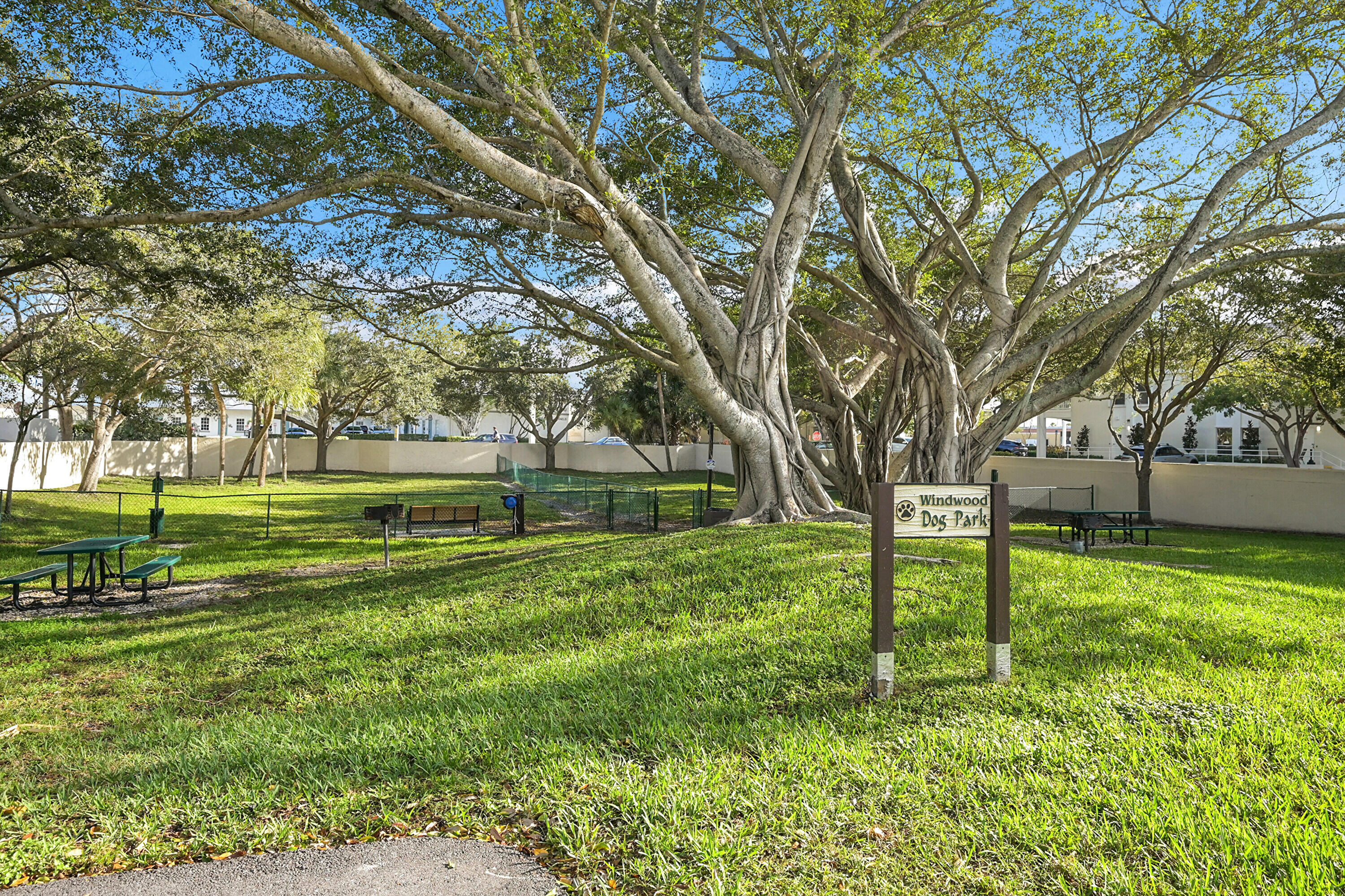 440 Ashwood Place Boca Raton, FL 33431 - Photo 31 of 32 a view of a park with large trees