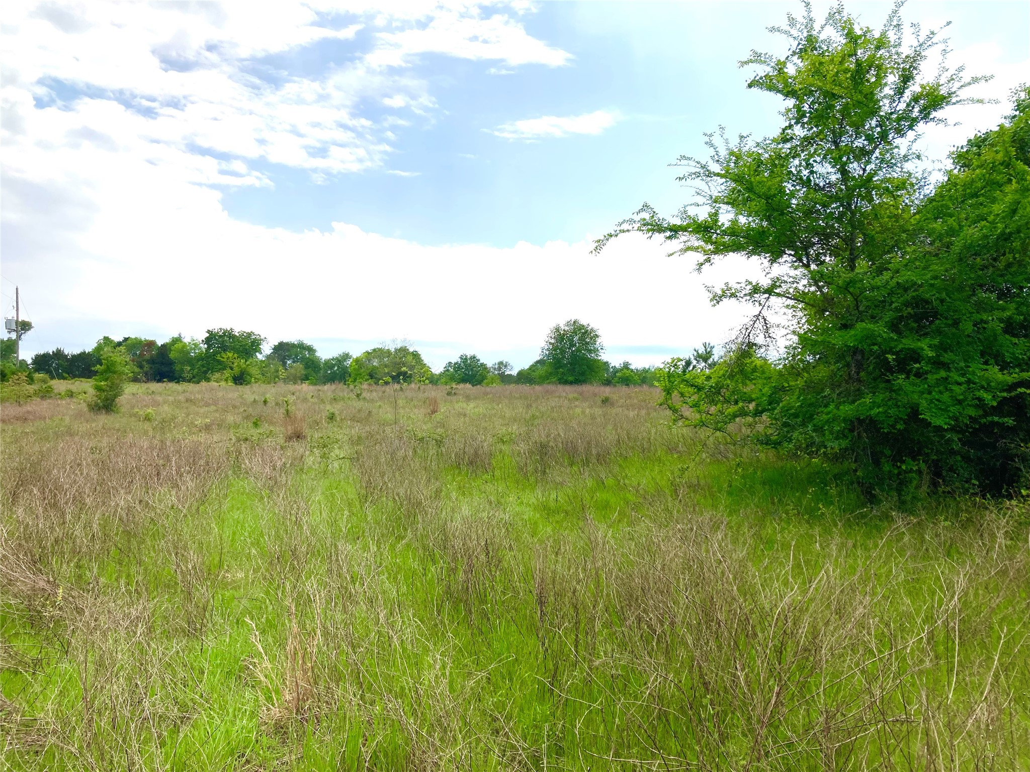 775 South FM 441 Road Louise, TX 77455 - Photo 14 of 14