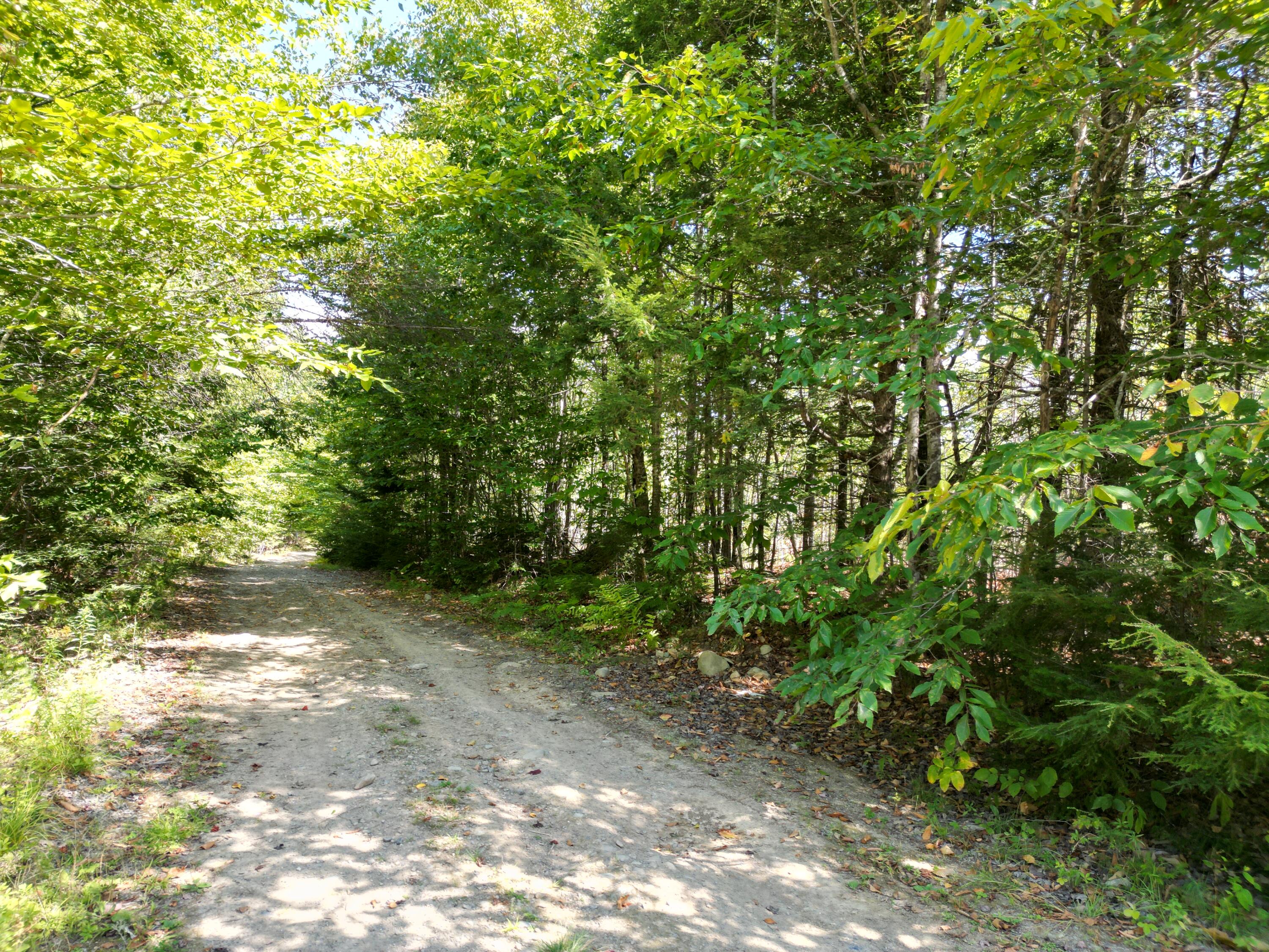 Off Getchell Mountain Road Carroll Plt, ME 04487 - Photo 2 of 23 DJI_0450
