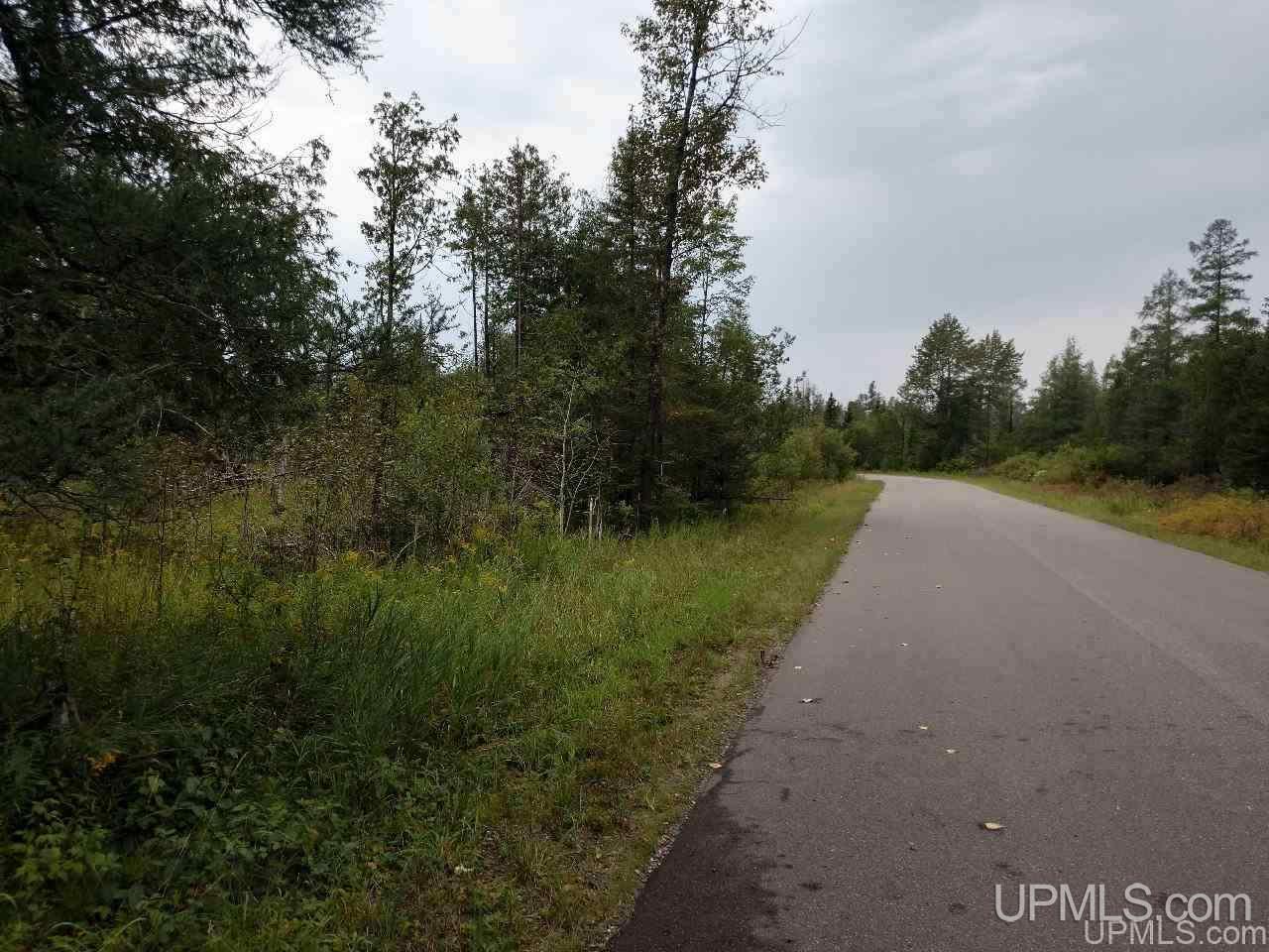 5-acres Co Rd Sa Cornell, MI 49818 - Photo 3 of 27
