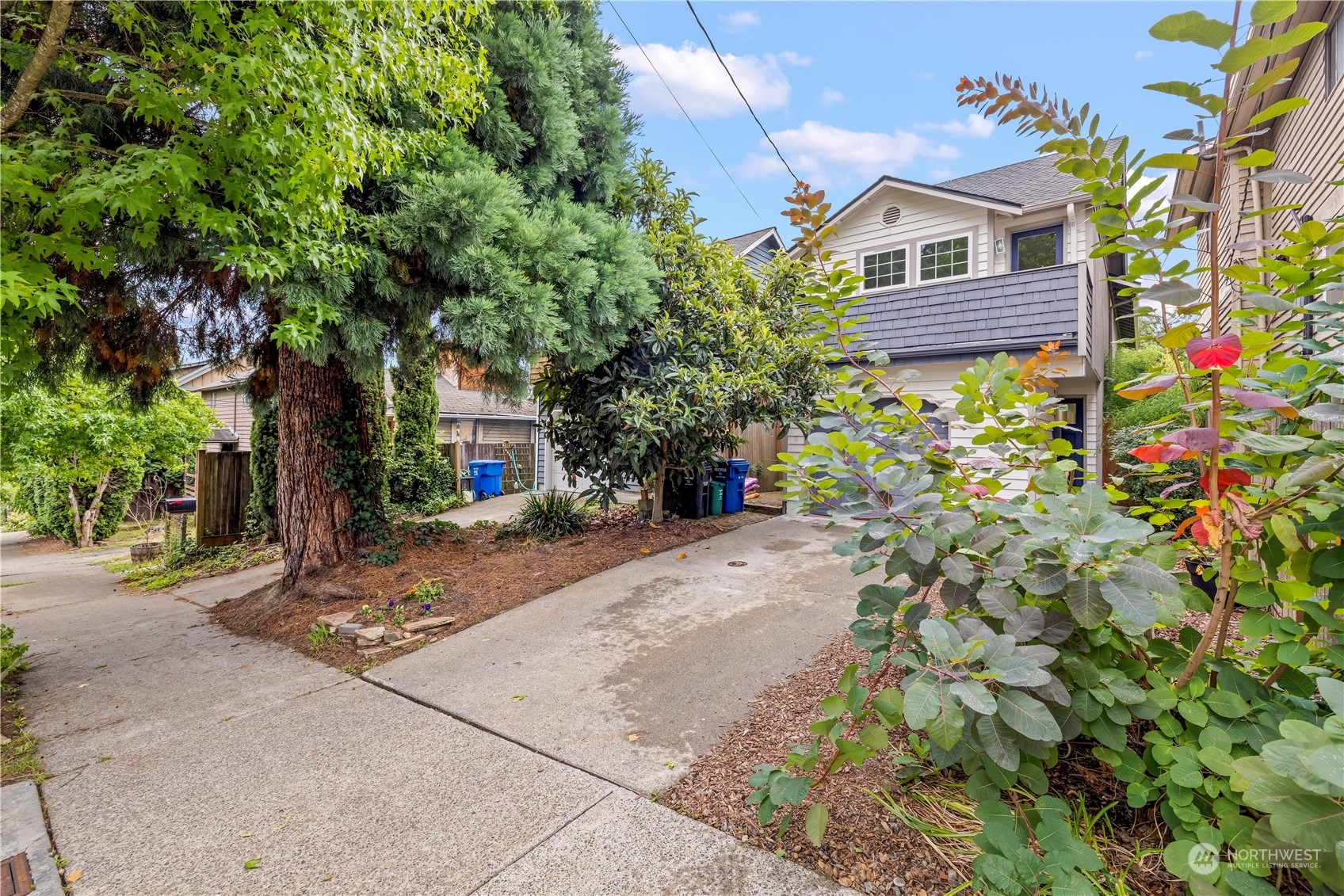 2847 Southwest Dakota Street Seattle, WA 98126 - Photo 36 of 39 a view of a street with flower plants and large trees