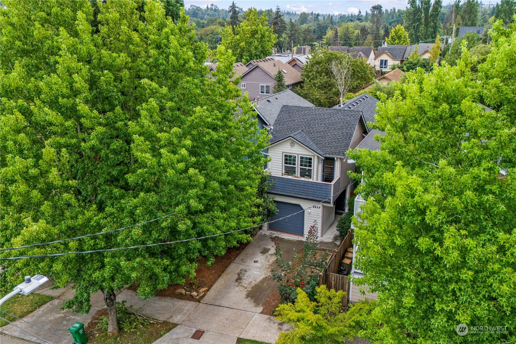 2847 Southwest Dakota Street Seattle, WA 98126 - Photo 39 of 39 a view of a house with a yard and plant