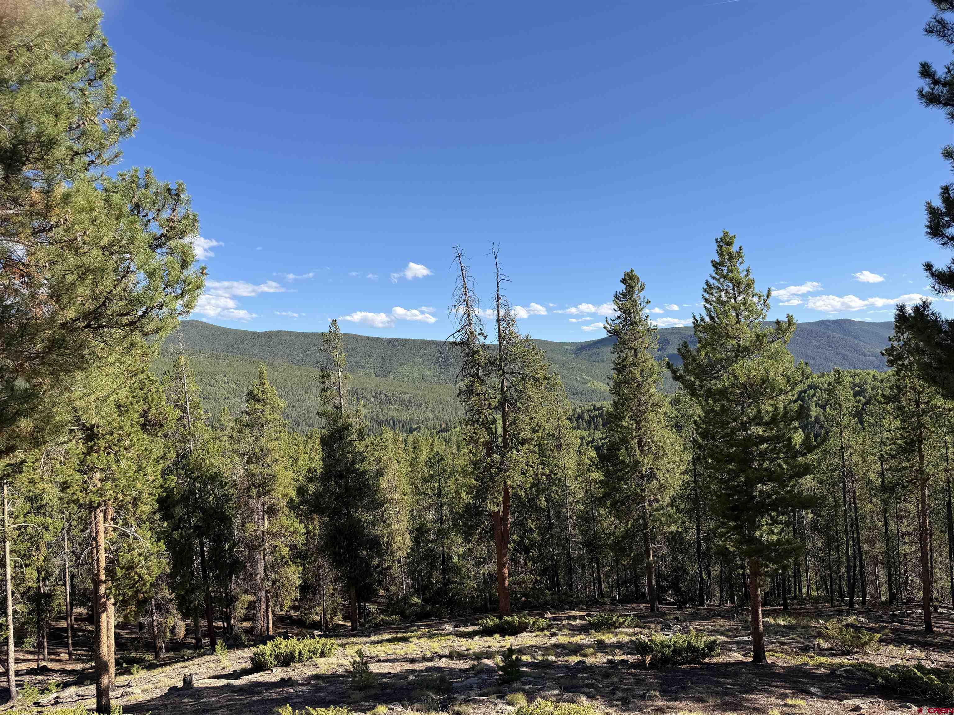 226 Porpenn Road Pitkin, CO 81241 - Photo 33 of 38 Gallery Image 33