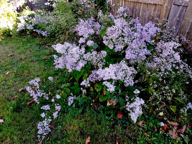 $394,500 | 29 15th Street, Old Orchard Beach, ME 04064