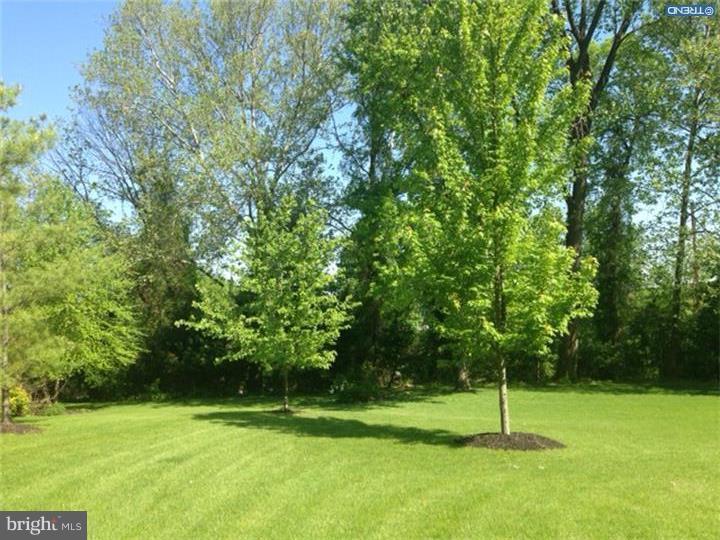 275 Bodine Road Berwyn, PA 19312 - Photo 22 of 24 View in Back