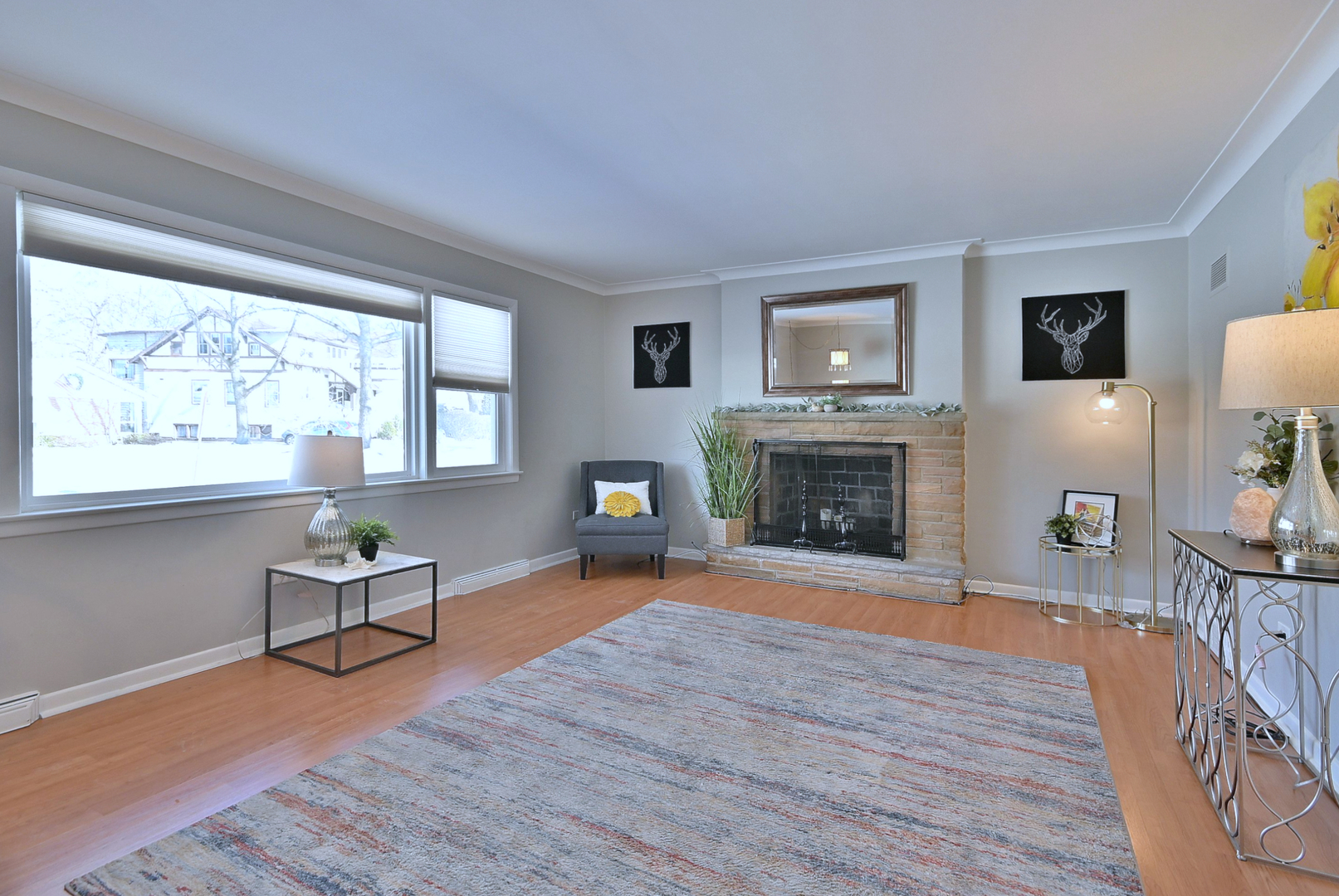 815 South Lincoln Avenue Park Ridge, IL 60068 - Photo 2 of 17