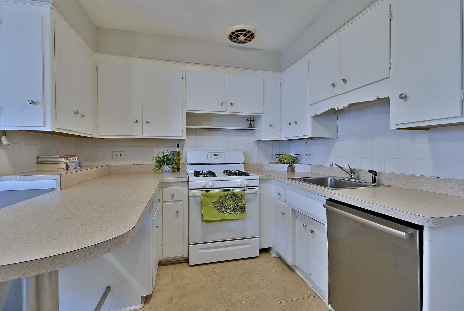 815 South Lincoln Avenue Park Ridge, IL 60068 - Photo 5 of 17