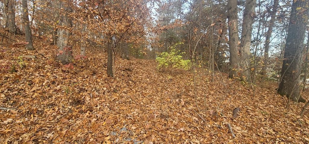 94 Timberlake Circle Sevierville, TN 37876 - Photo 2 of 16