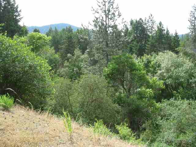 2529 Highway 25 Rice, WA 99167 - Photo 7 of 9