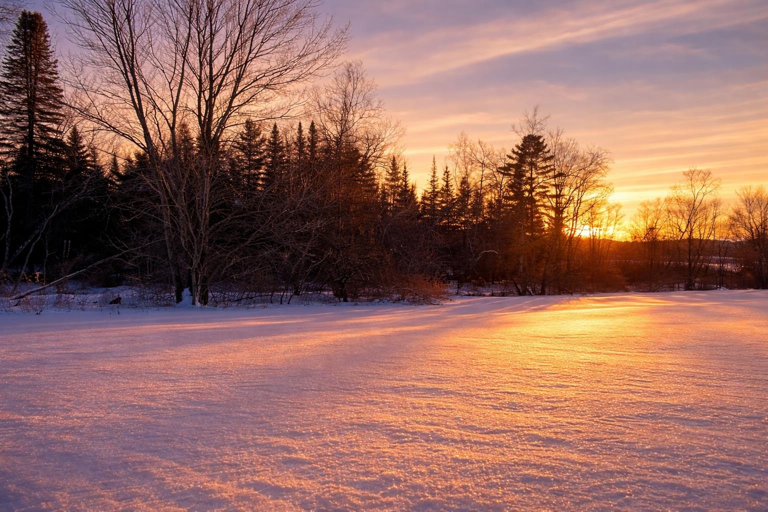 972 Fitzgerald Road, Unit 3 Morristown, VT 05661 - Photo 1 of 10