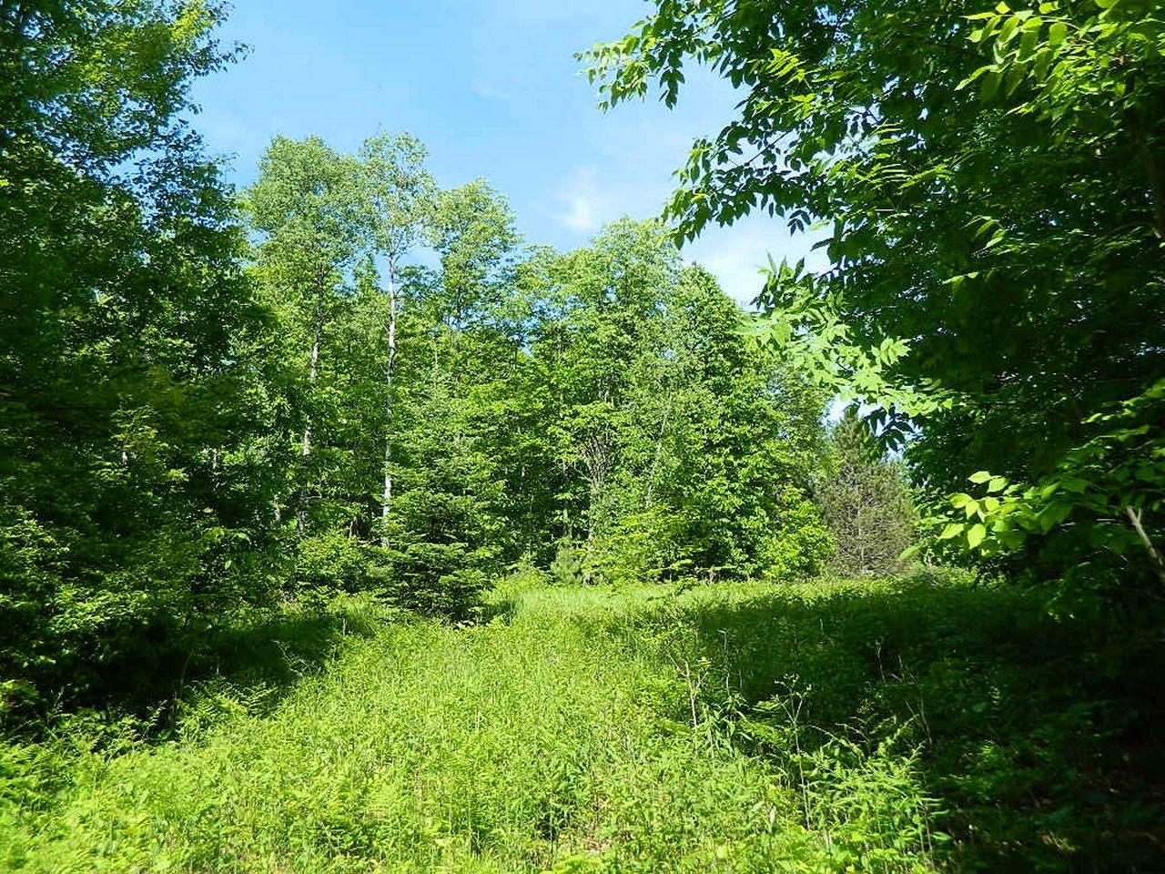 7059 Malm Road Winter, WI 54896 - Photo 3 of 12 Gallery Image 3