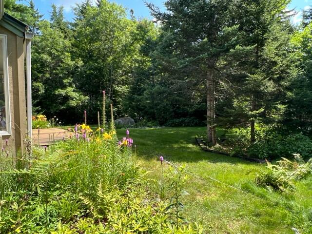 17 Carlisle Road Surry, ME 04684 - Photo 28 of 60 IMG_7250