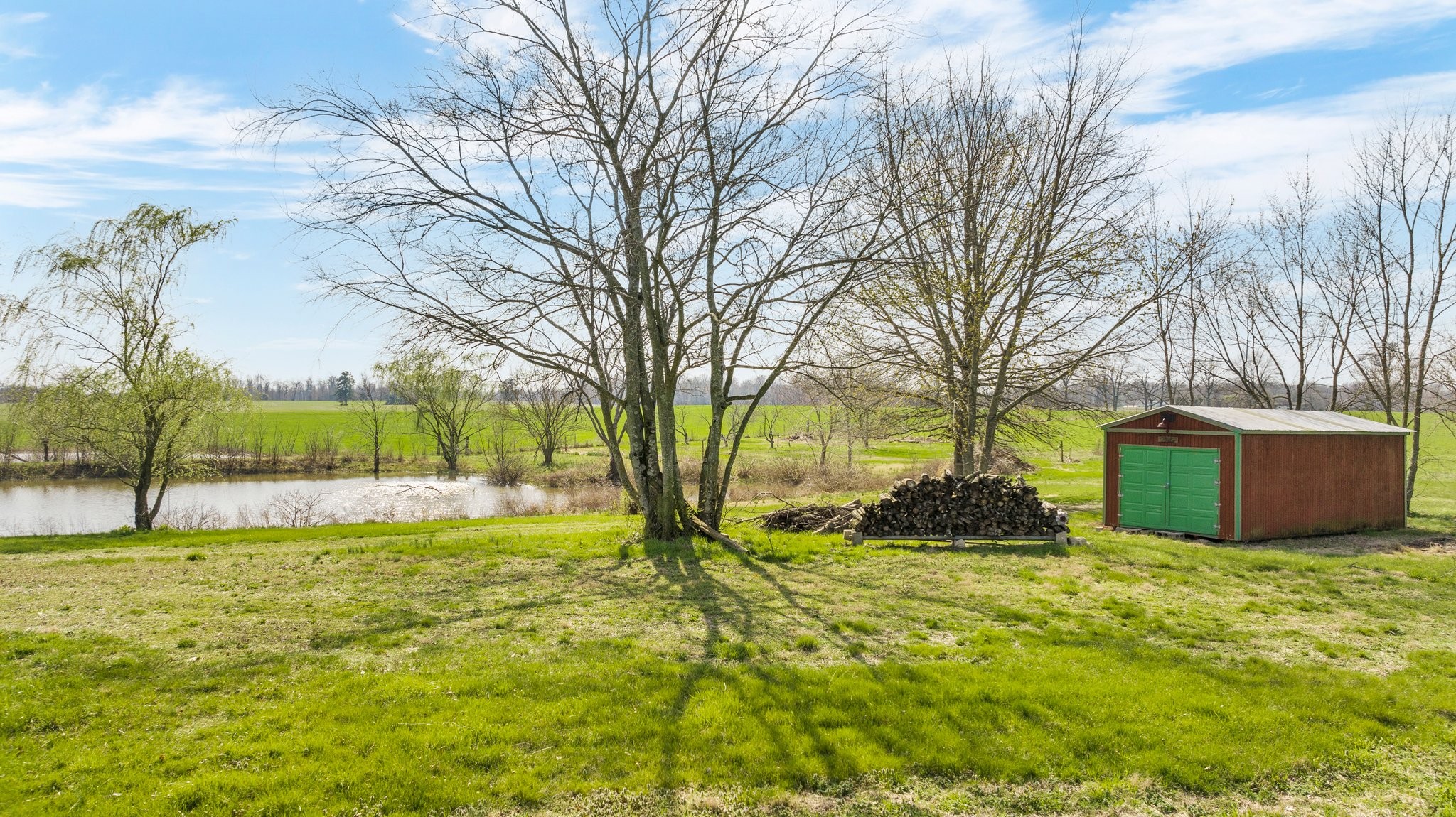 5066 Starks Road Cross Plains, TN 37049 - Photo 8 of 30 a view of backyard with tree