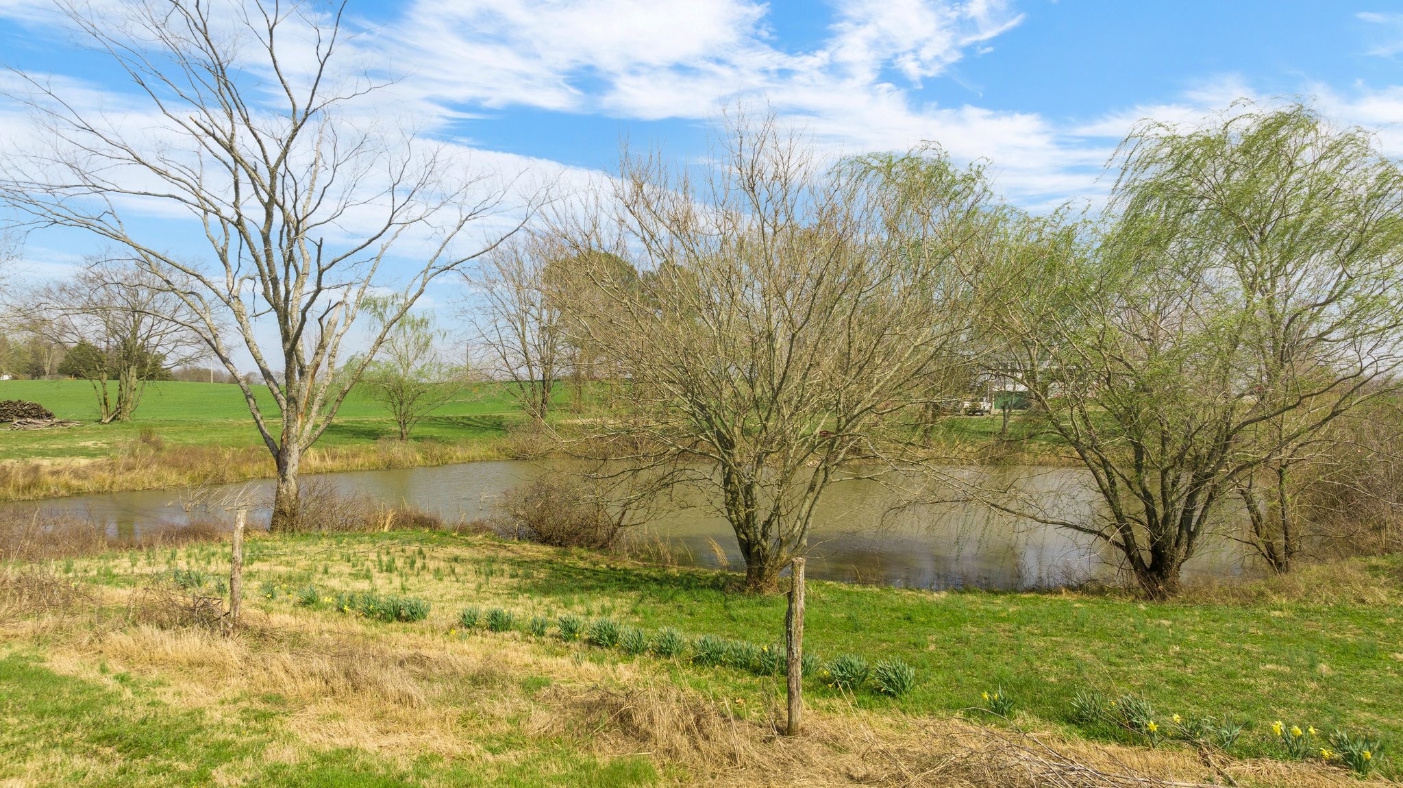 5066 Starks Road Cross Plains, TN 37049 - Photo 10 of 30 a backyard of a house with lots of green space