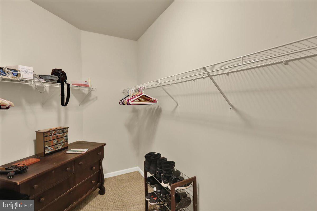 484 Patriots Way Lititz, PA 17543 - Photo 23 of 30 Primary Walk In Closet
