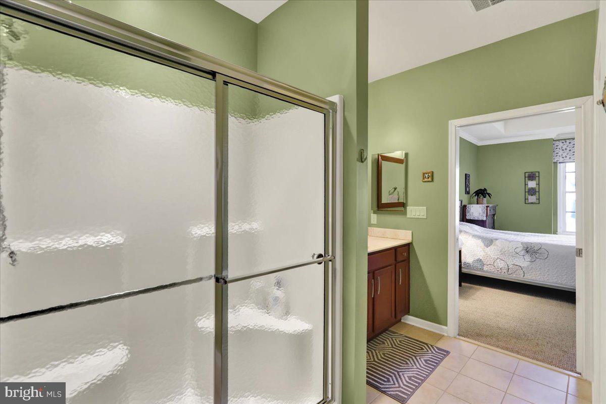484 Patriots Way Lititz, PA 17543 - Photo 25 of 30 Primary Bath View 3 walk in shower