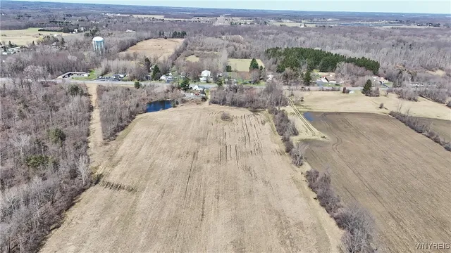 $989,898 | 13755 Main Street, Newstead, NY 14001