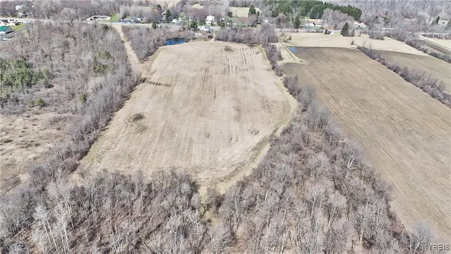 $989,898 | 13755 Main Street, Newstead, NY 14001