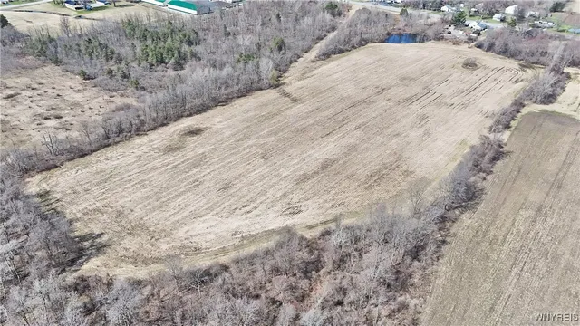 $989,898 | 13755 Main Street, Newstead, NY 14001