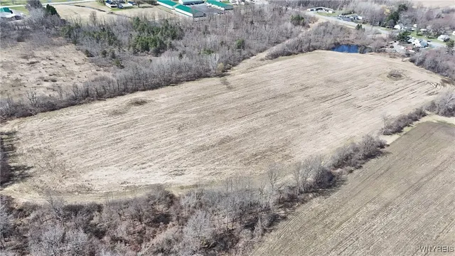 $989,898 | 13755 Main Street, Newstead, NY 14001