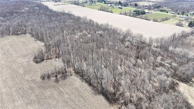 $989,898 | 13755 Main Street, Newstead, NY 14001