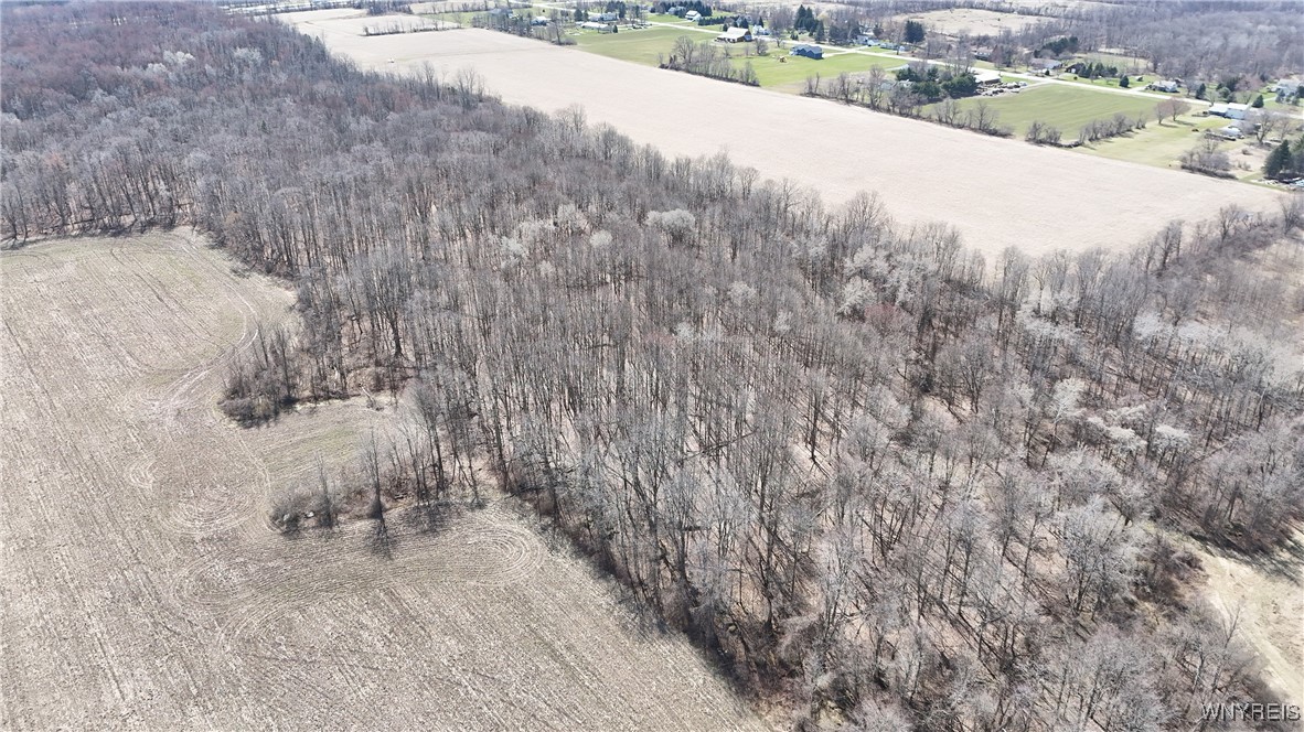 13755 Main Street Newstead, NY 14001 - Photo 16 of 21