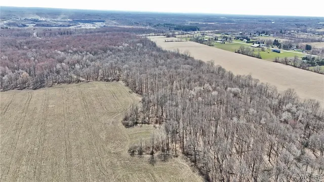 $989,898 | 13755 Main Street, Newstead, NY 14001