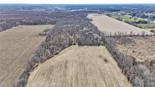 $989,898 | 13755 Main Street, Newstead, NY 14001