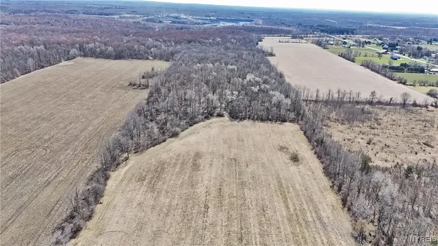 $989,898 | 13755 Main Street, Newstead, NY 14001