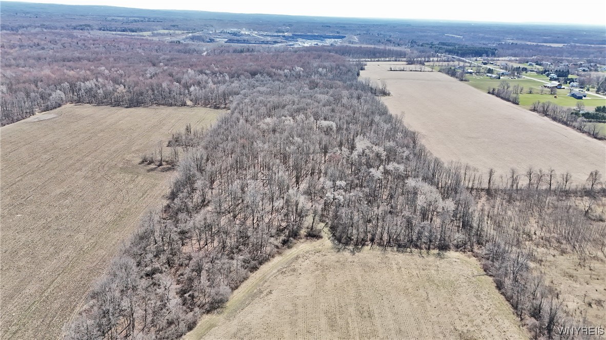 13755 Main Street Newstead, NY 14001 - Photo 7 of 21