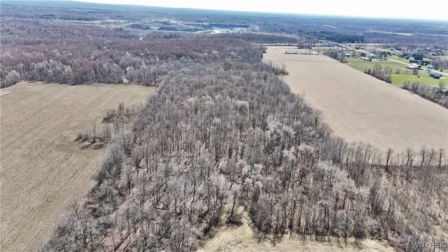 $989,898 | 13755 Main Street, Newstead, NY 14001