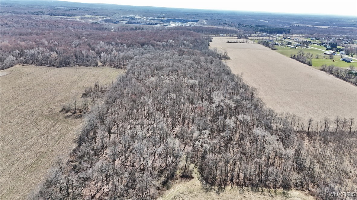 13755 Main Street Newstead, NY 14001 - Photo 8 of 21