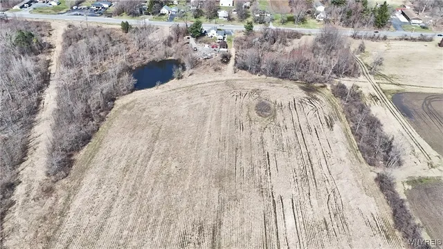 $989,898 | 13755 Main Street, Newstead, NY 14001