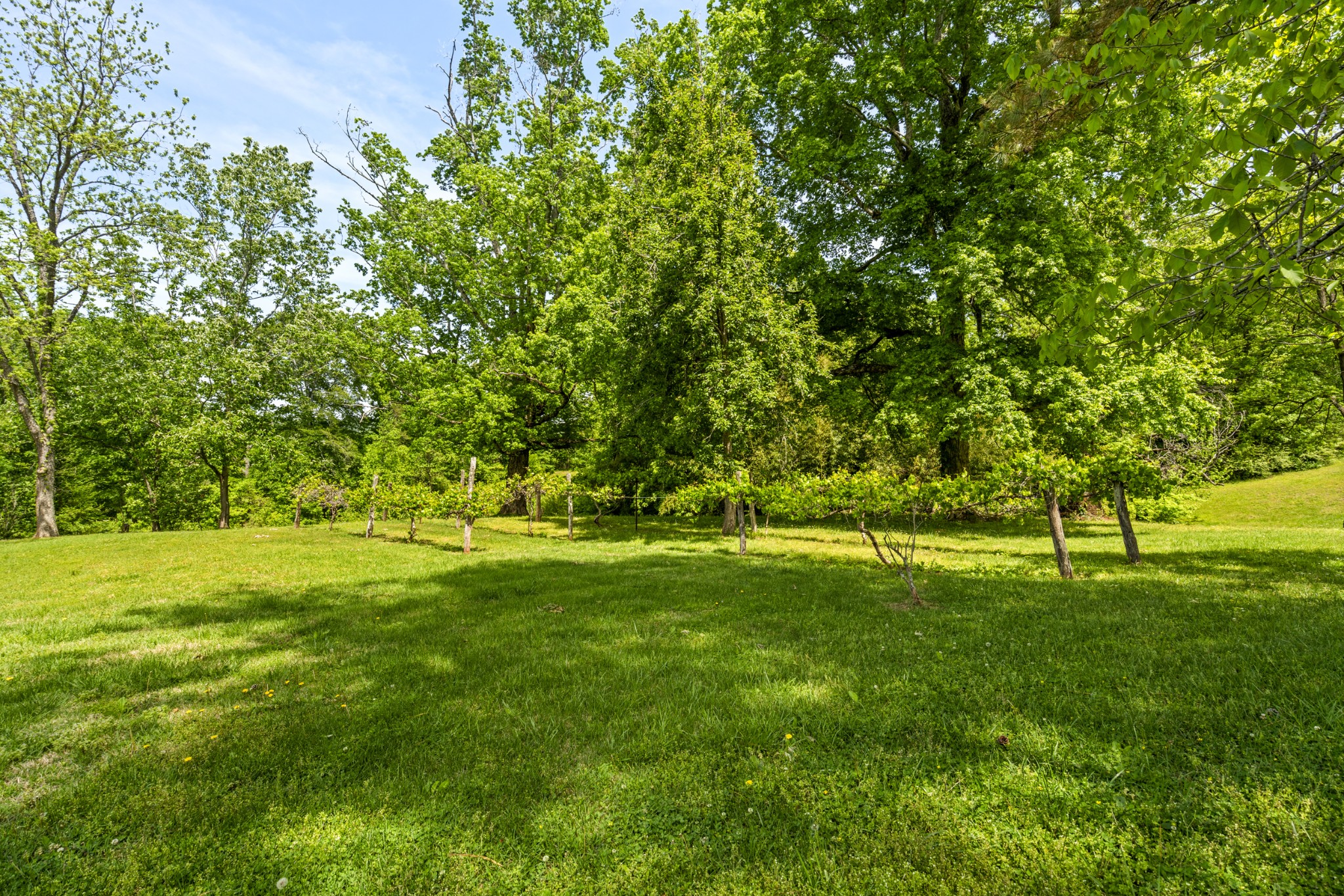 444 Cooley Road Waverly, TN 37185 - Photo 37 of 47 Gallery Image 37