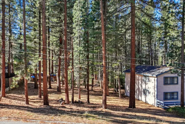 a view of a city with lots of trees