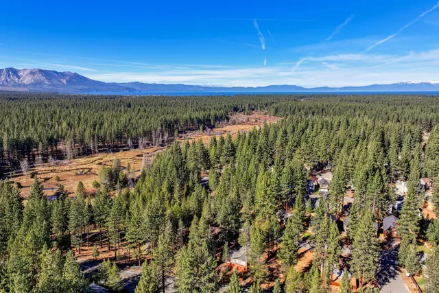 a view of a city with lush green forest