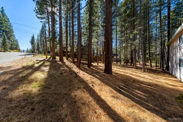 a view of a yard with large trees