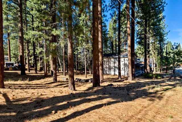 a view of a building with trees
