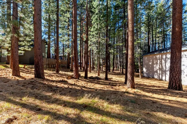 a view of a house with a tree in the background