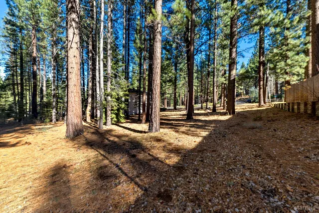 a view of outdoor space with trees