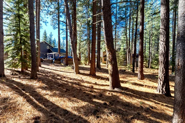 a view of road with trees