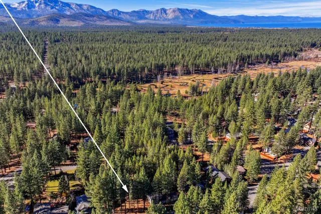 a view of a city with lush green forest