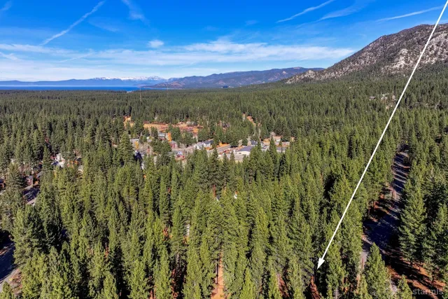 a view of a city with lush green forest